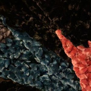 Meet your Posher, Jammy